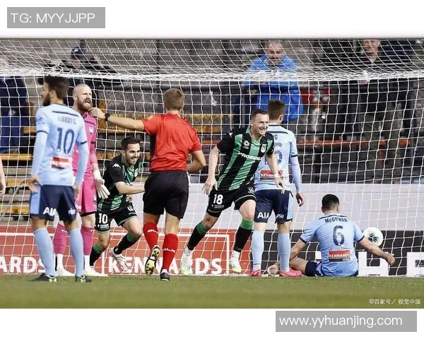 惠灵顿与中央海岸比赛前瞻及比分预测分析，谁将赢得胜利